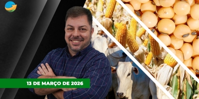 Suspensão das exportações de soja pela Cargil traz nova pressão sobre as cotações; milho sobe com trigo e petróleo e boi fica estável