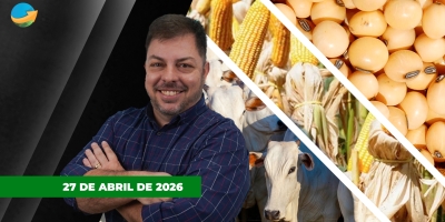 Dia de alta para os grão em Chicago, com soja puxada pelo farelo e clima impulsionando milho; boi china recua em SP