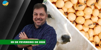 Carne no atacado e arroba do boi iniciam a semana em novos patamares de preços; Soja em Chicago recua a espera do USDA