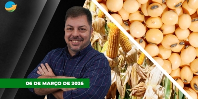 Soja sobe mais de 20 pontos em Chicago e chega aos US$12/bushel; Milho em alta na B3 com conflito e atraso no plantio