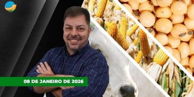 Frigoríficos discutem divisão de cotas para China e alguns saem das compras; Soja perde parte dos ganhos da semana em Chicago