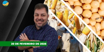 Mais uma semana positiva para arroba boi e com viés para novas altas; Soja e milho repercutem safra 2026/27 nos EUA