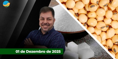 Soja recua forte em Chicago com pressão do farelo; açúcar recua quase 3% com maior oferta no Brasil e na Índia