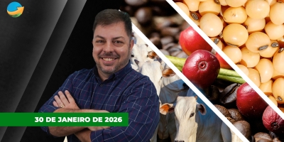 Arroba do boi emplaca terceira alta seguida em SP; alta do dólar faz preço da soja recuar em Chicago