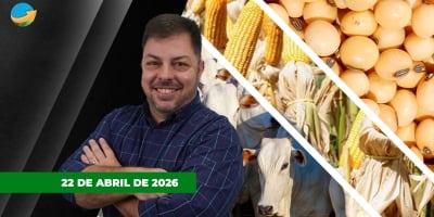 Arroba do boi gordo perde força; soja cede forte em Chicago e millho tem boas altas na B3