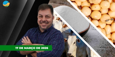 Mercado do boi travado, com poucos negócios e disputa por arroba; soja e açúcar fecham em alta seguindo petróleo