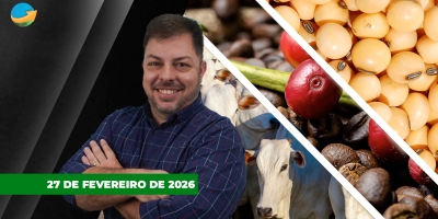 Soja sobe com apoio do trigo e boas expectativas com demanda americana; café perde força com projeção de oferta recorde