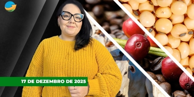 Café tem mínimas em quatro meses na Bolsa de Londres, soja testa novas baixas em Chicago e boi segue "morno"