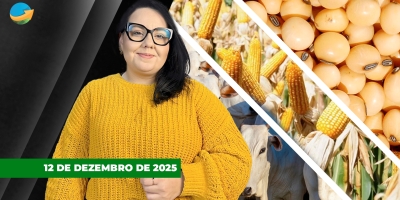 Soja despenca em Chicago nesta 6ª feira, leva milho na carona, enquanto café sobe na Bolsa de NY