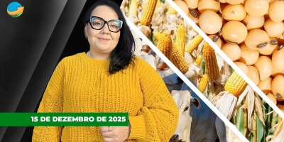 Milho e boi têm novo dia de baixas na B3 nesta 2ª feira, enquanto prêmios da soja sobem no Brasil neste início de semana