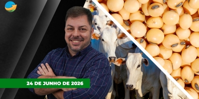 Fechamento de Mercado - Edição 24-06-2026 - Direto da Feicorte 2026 em Presidente Prudente - SP