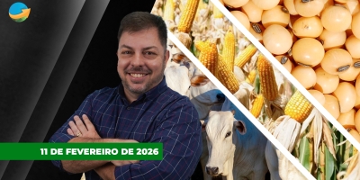 Belo Horizonte, Goiânia e Cuiabá,  além das praças paulistas, renovam altas para arroba do boi; milho e soja tem pouca oscilação em Chicago