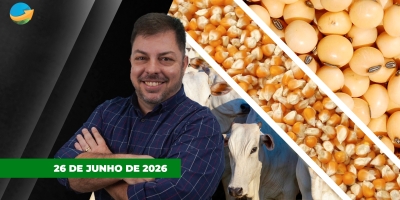 Boi gordo recua quase 2% na semana e tendência de queda continua; soja e milho recuam em Chicago, mas no Brasil soja tem semana positiva