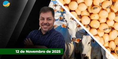 Soja em alta com expectativa de revisão da produção americana pelo USDA; vaca gorda sobe em SP com frigoríficos menores tentando alongar escalas