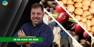 Soja sobe com apoio de óleo e farelo, café ganha fôlego com atraso da colheita no Brasil e boi tem dia de estabilidade