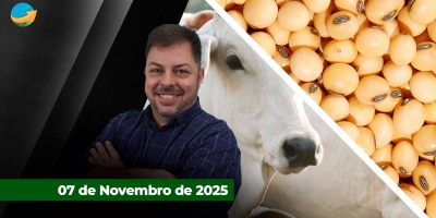 Semana do boi gordo encerra com preços firmes, mas mercado conturbado; soja sobe mais de 10 pontos e encerra semana acima dos US$11/bushel