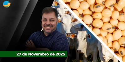 Soja requer atenção com cenário de safra recorde no Brasil e China abastecida com soja americana; boi segue na mesma