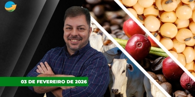 SP já tem boi negociado a R$335/@, café despenca mais de 4% nas bolsas e soja sobe com apoio do óleo em Chicago