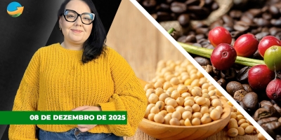 Soja em Chicago e café em NY têm baixas fortes nesta 2ª feira, enquanto milho sobe na B3 com apoio na demanda e no clima