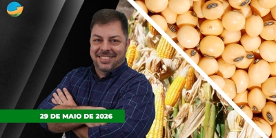 Milho na B3 sinaliza bons preços com demanda forte para o segundo semestre; Petróleo e farelo pressionam soja em Chicago