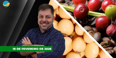 Quarta-feira de cinzas tem café e boi em alta, soja e milho ficaram estáveis à espera do Outlook Fórum do USDA