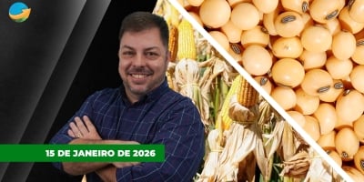 Demanda chinesa surpreende a reacende perspectiva de menor pressão sobre as cotações; Milho pressionado é questão de tempo, demanda tende a ser forte