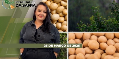 Safra de soja 25/26 deve se concluir com muita irregularidade no RS; Federarroz orienta sobre PEP e Pepro