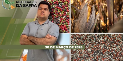 Produtor brasileiro deve reduzir uso de fertilizantes em 2026