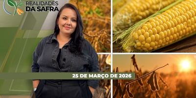 REALIDADES DA SAFRA - EDIÇÃO 25/03/2026
