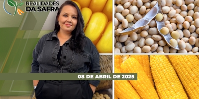 REALIDADES DA SAFRA - EDIÇÃO 08/04/2026