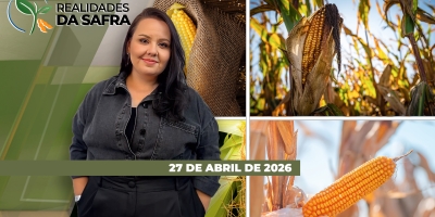 REALIDADES DA SAFRA - EDIÇÃO 27/04/2026