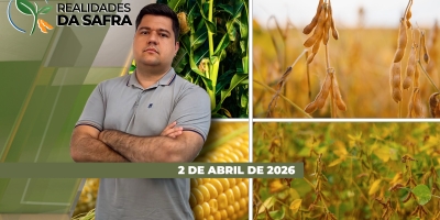 Lavouras de milho vão precisar de chuvas ao longo de abril no Mato Grosso, Mato Grosso do Sul e São Paulo