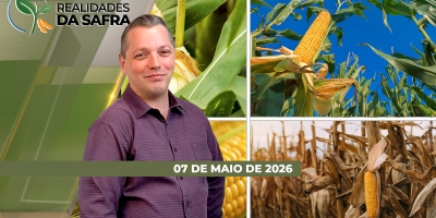 REALIDADES DA SAFRA - EDIÇÃO 07/05/2026
