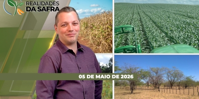 REALIDADES DA SAFRA - EDIÇÃO 05/05/2026