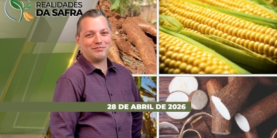 REALIDADES DA SAFRA - EDIÇÃO 28/04/2026