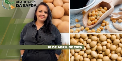REALIDADES DA SAFRA - EDIÇÃO 10/04/2026