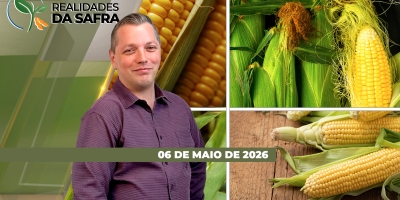 REALIDADES DA SAFRA - EDIÇÃO 06/05/2026