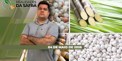 Minas Gerais abre safra de cana esperando aumento de produção e safra de soja 25/26 tem nova revisão para cima