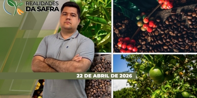 Chuvas atrapalham reta final da colheita da soja, mas ajudam desenvolvimento do milho, especialmente no Mato Grosso