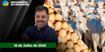 Pressão de baixa da arroba do boi ganha força em todo o Brasil ; Soja sobe forte com rumores de demanda chinesa de volta aos EUA