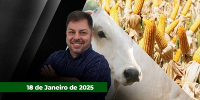 Semana difícil para os negócios com arroba e aumento na pressão sobre boi China. Previsão de clima quente e seco nos EUA impacta cotação de grãos em Chicago