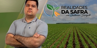 Produtores de milho esperam chuvas até maio e os de algodão iniciam manejo de doenças