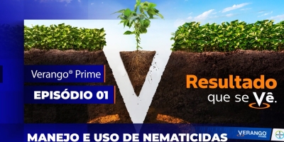 A combinação de químicos e biológicos no controle de nematoides