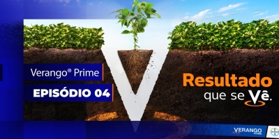 Episódio 4 - Benefícios e diferenciais de Verango® Prime contra os nematóides
