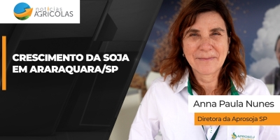 Araraquara/SP tem potencial forte na soja diante da reforma da cana-de-açúcar