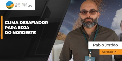 Piauí deve manter área estável na safra 26/27 com atenção redobrada sobre o clima
