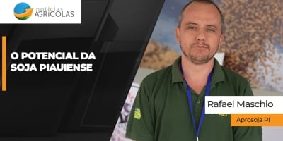 Piauí segue como um dos estados com maior potencial para expansão da soja no BR