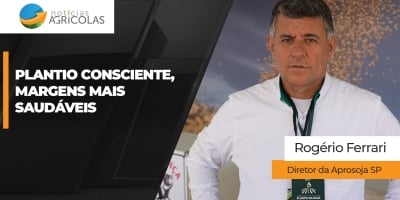 Aprosoja SP reforça "plantio consciente" da soja 2026/27 com foco em resultado forte