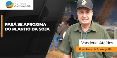 Produtores se preparam para iniciar plantio da soja no Pará com otimismo e empreendedorismo