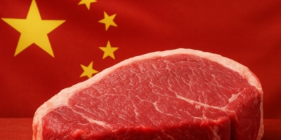 Surto de febre aftosa na China merece atenção, mas impacto no mercado ainda é incerto